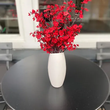 Apartment Gemütliches Zuhause In 1a Lage *